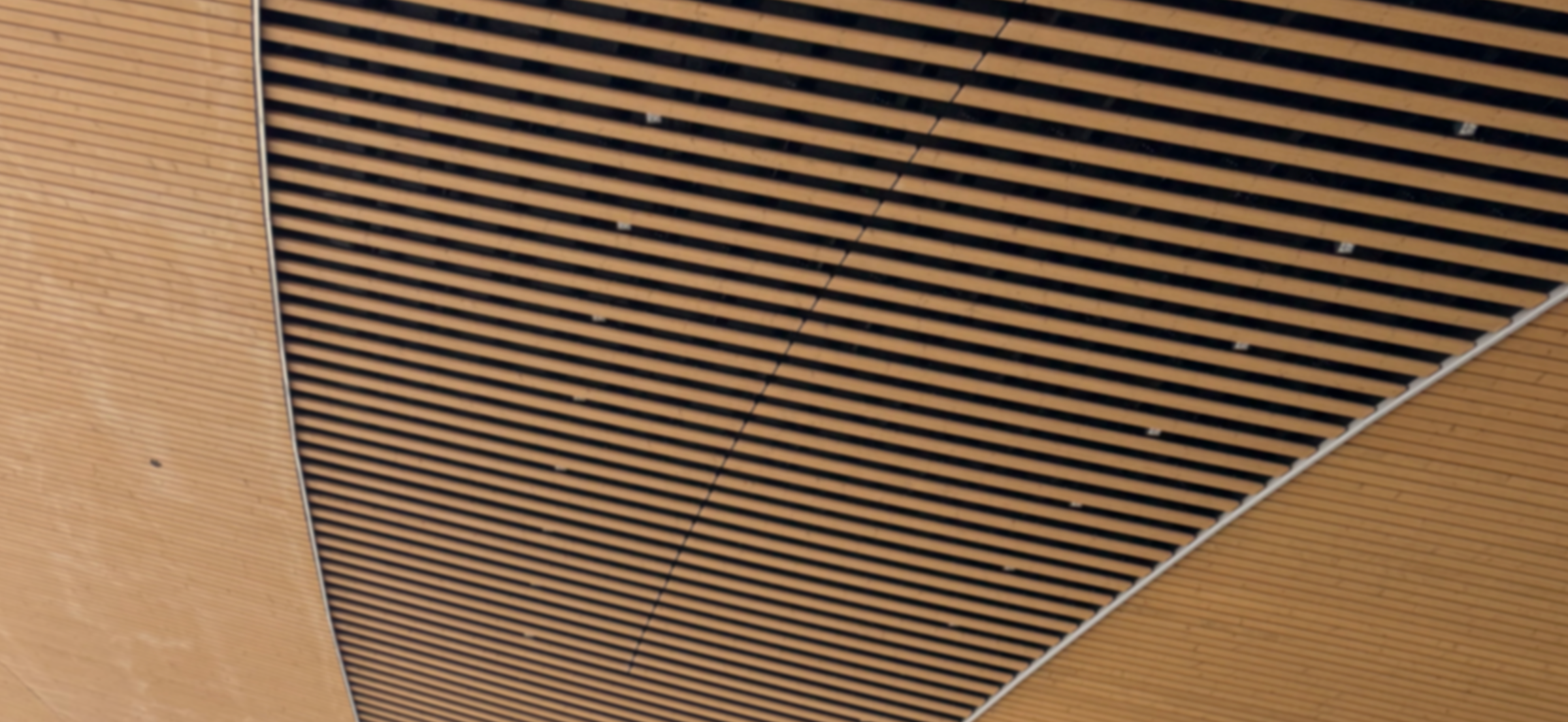 Andre Interpol Notices